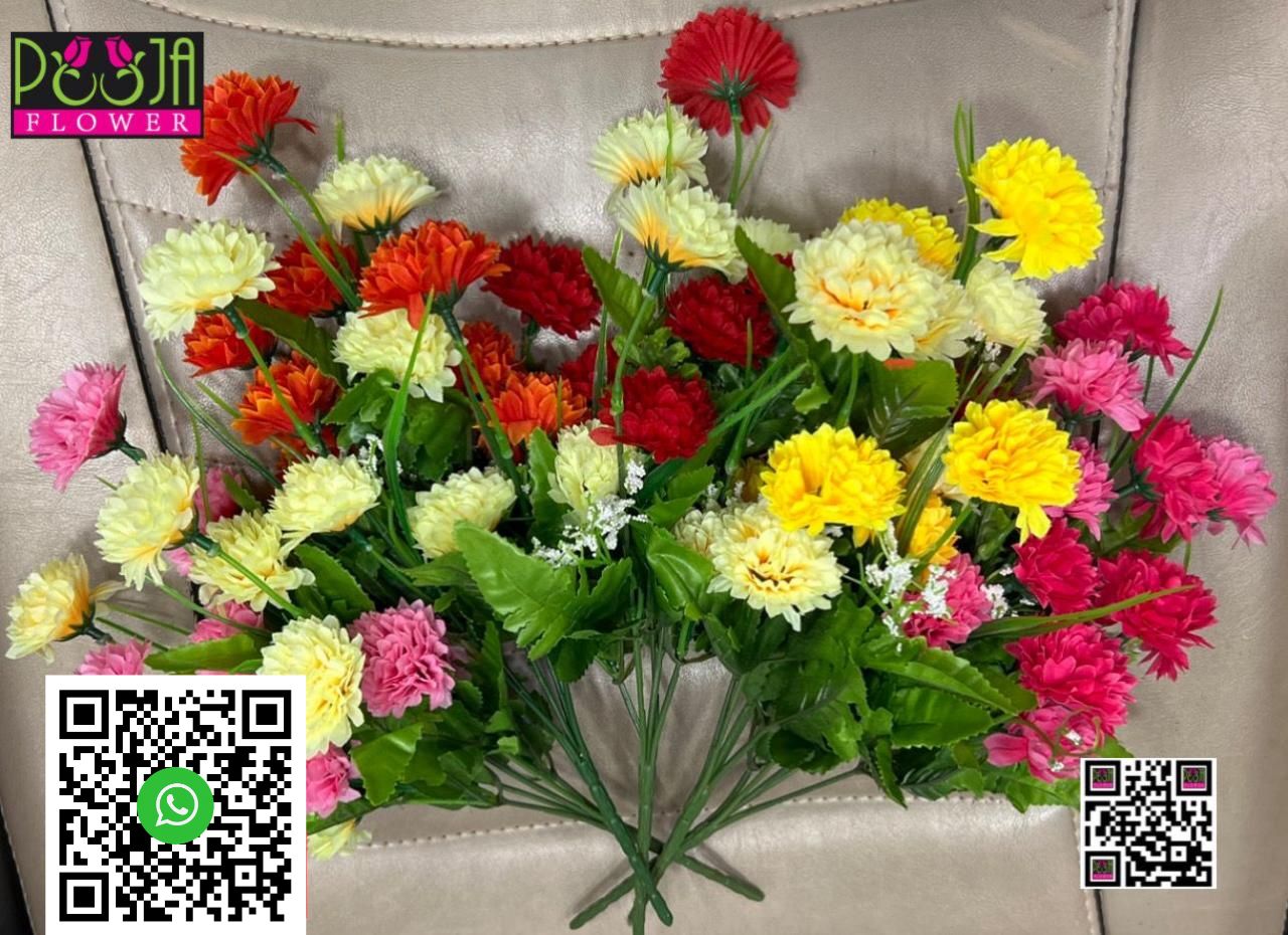 WhatsApp Image 2026-06-15 at 11.45.12 PM